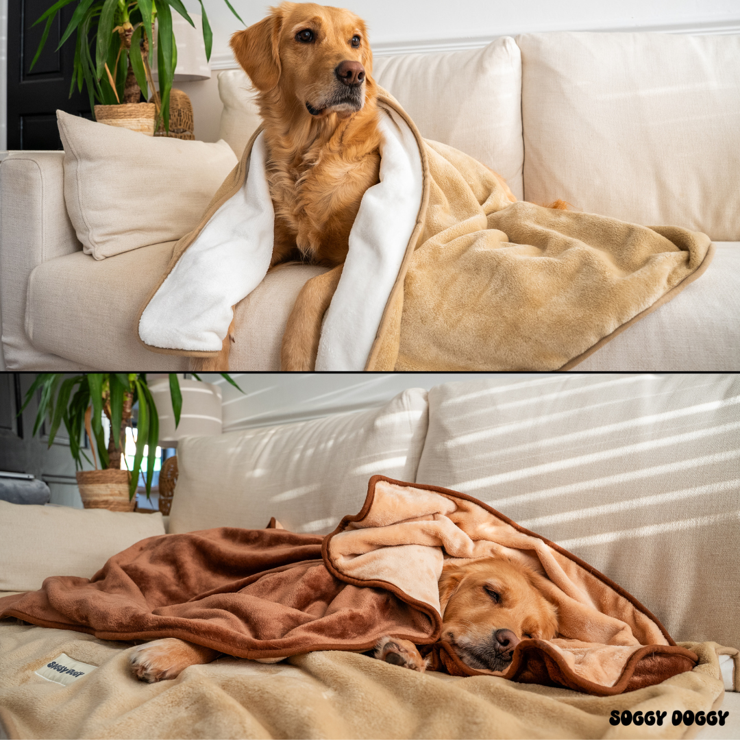Luxury Large Dog Blanket, Double Layered, Super Soft Washable Dog Throw 130x90cm (Brown)