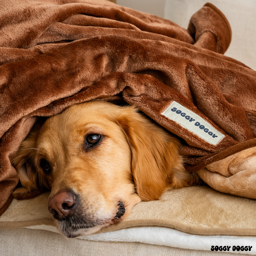 Luxury Large Dog Blanket, Double Layered, Super Soft Washable Dog Throw 130x90cm (Brown)