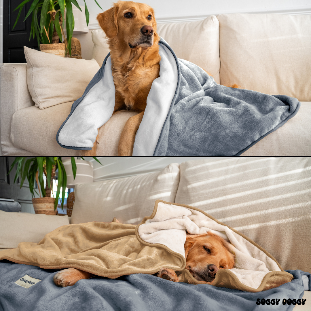 Luxury Large Dog Blanket, Double Layered, Super Soft Washable Dog Throw 130x90cm (Brown)
